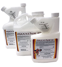 Maxxthor