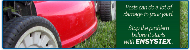 Call ENSYSTEX today!